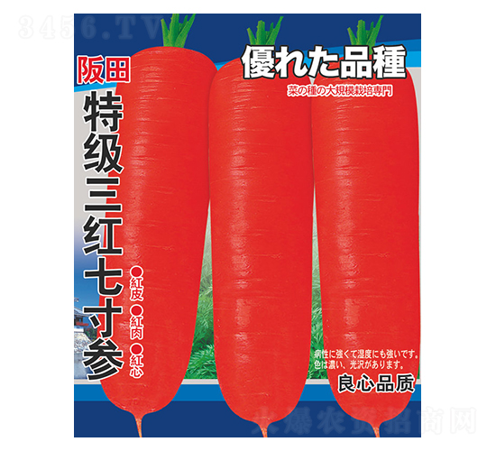 ä¸‰ç´…ä¸ƒå¯¸åƒ-è˜¿åœç¨®å­-é‚¢æºè¾²(nÃ³ng)æ¥­(yÃ¨)
