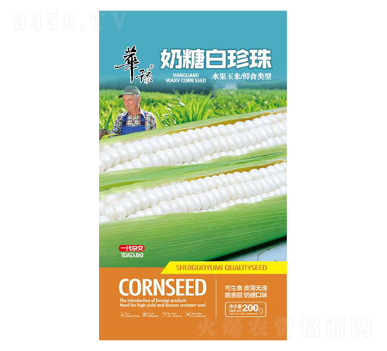 奶糖白珍珠-玉米種子-邢源農(nóng)業(yè)