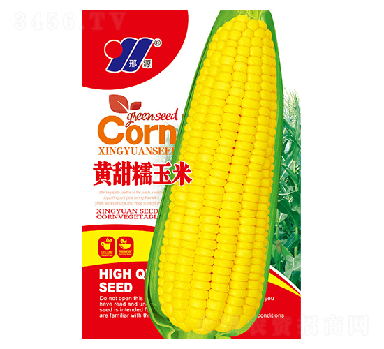 黃甜糯玉米種子-邢源農(nóng)業(yè)