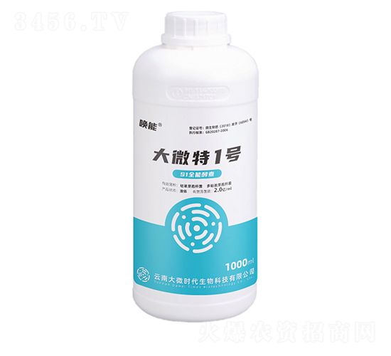 å¤§å¾®ç‰¹ä¸€è™Ÿ-å–šèƒ½-å¤§å¾®æ™‚ä»£