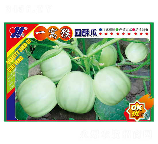 一窩猴圓酥瓜-甜瓜種子-邢源農(nóng)業(yè)