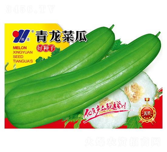 青龍菜瓜-甜瓜種子-邢源農業(yè)