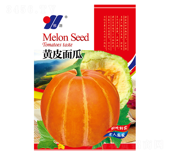 黃皮面瓜-甜瓜種子-邢源農(nóng)業(yè)
