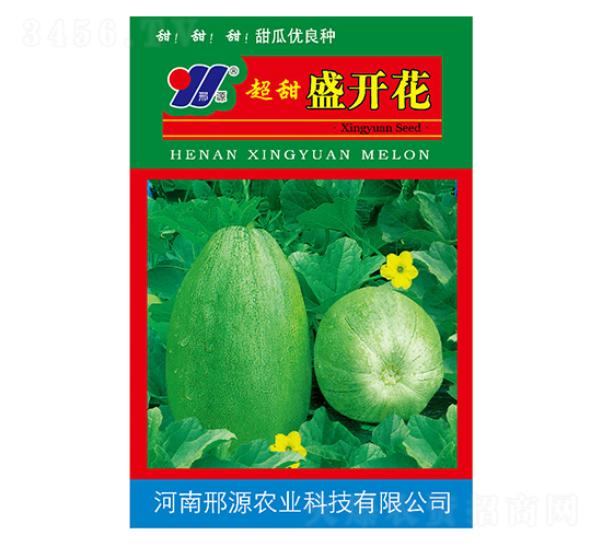 超甜盛開花-甜瓜種子-邢源農(nóng)業(yè)