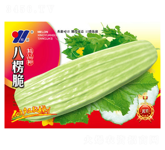 八楞脆-甜瓜種子-邢源農(nóng)業(yè)