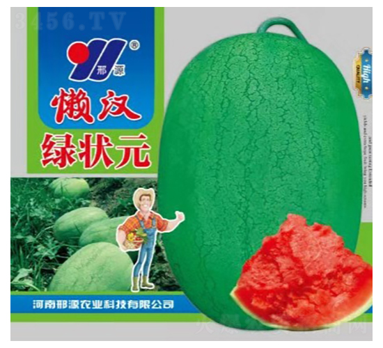 懶漢綠狀元-西瓜種子-邢源農(nóng)業(yè)