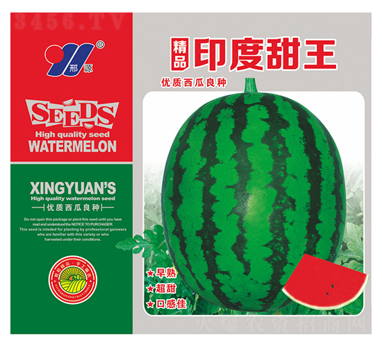 精品印度甜王-西瓜種子-邢源農(nóng)業(yè)