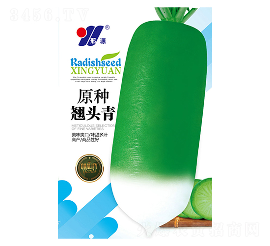 原種翹頭青-青蘿卜種子-邢源農業(yè)