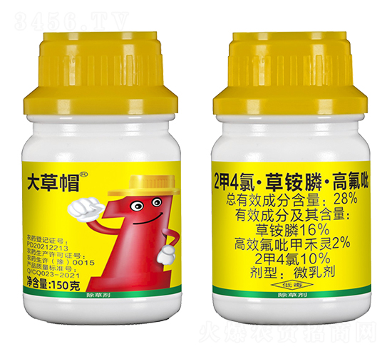2ç”²4æ°¯Â·è‰éŠ¨è†¦Â·é«˜æ°Ÿå¡-å¤§è‰å¸½