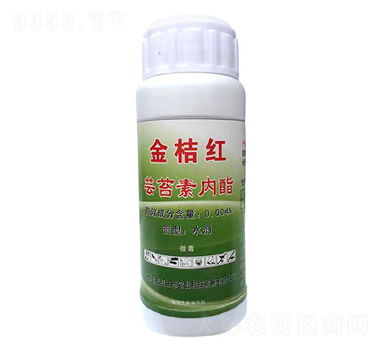 è•“è‹”ç´ å…§(nÃ¨i)è„‚-é‡‘æ¡”ç´…ç”Ÿæ…‹(tÃ i)