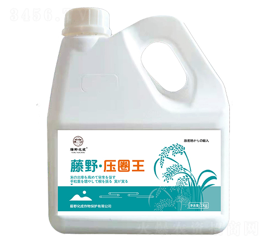 è—¤é‡Žå£“åœˆçŽ‹ï¼ˆæ°´ç¨»æ—©ç†Ÿé¼“ç²’å¢žç”¢(chÇŽn)ï¼‰-è—¤é‡ŽåŒ–æˆ