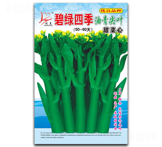 碧綠四季-菜心種子-閩皇種業(yè)