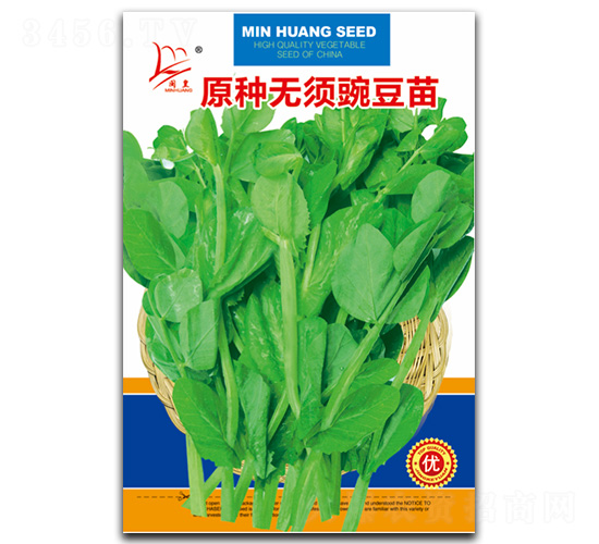 原種無須豌豆苗-豌豆苗種子-閩皇種業(yè)