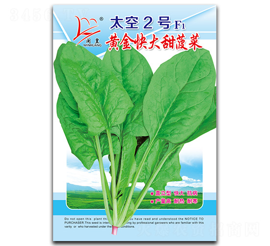太空2號(hào)-菠菜種子-閩皇種業(yè)