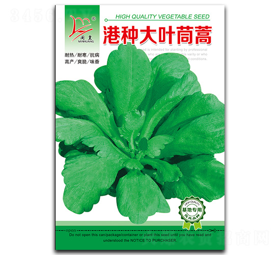 港種大葉茼蒿-茼蒿種子-閩皇種業(yè)