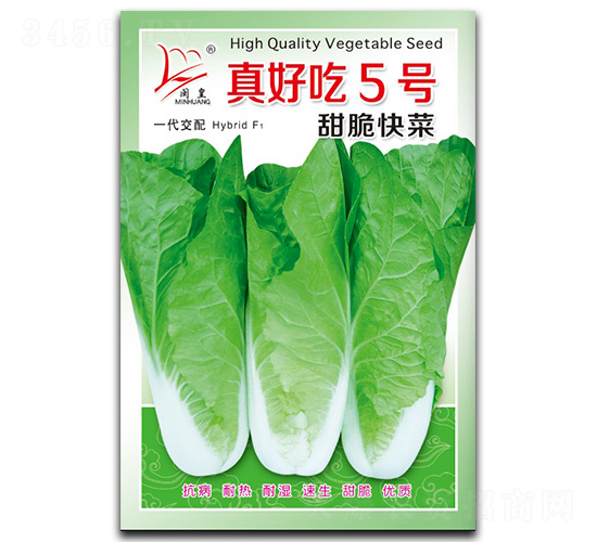 真好吃5號-快菜種子-閩皇種業(yè)