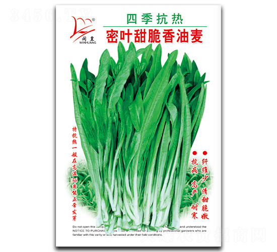 密葉甜脆香油麥-油麥菜種子-閩皇種業(yè)