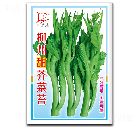 柳州甜芥菜苔-菜苔種子-閩皇種業(yè)