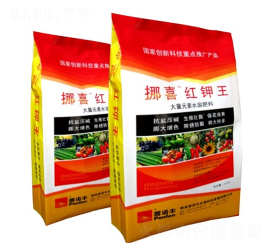 æŒªå–œç´…é‰€çŽ‹-æ™®è«¾è±