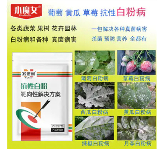 抗性靶斑靶向性解決方案-農(nóng)便利-天行健