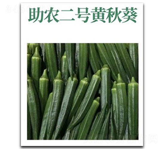 助農(nóng)二號(hào)-黃秋葵種子-文興