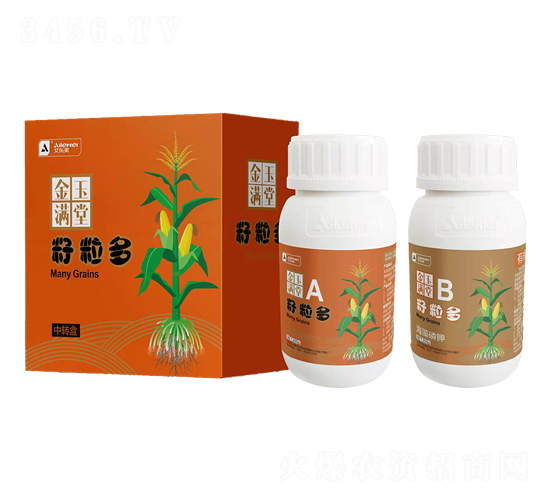籽粒多玉米專用高產(chǎn)組合-金玉滿堂-艾樂美