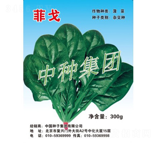 è²æˆˆ-è èœç¨®å­-ä¸­ç¨®é›†åœ˜(tuÃ¡n)