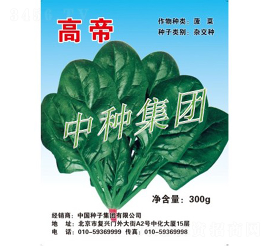 高帝-菠菜種子-中種集團(tuán)