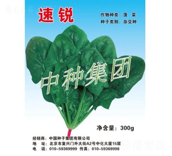 é€ŸéŠ³-è èœç¨®å­-ä¸­ç¨®é›†åœ˜(tuÃ¡n)