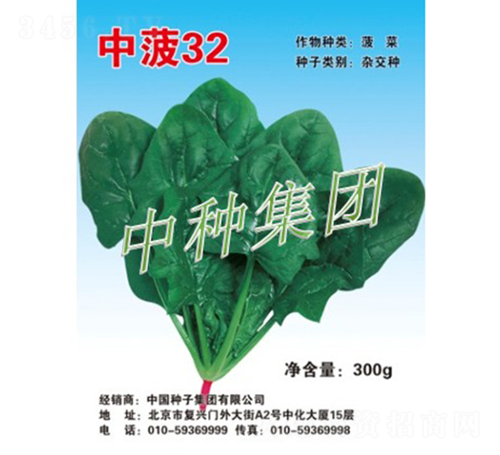 中菠32-菠菜種子-中種集團