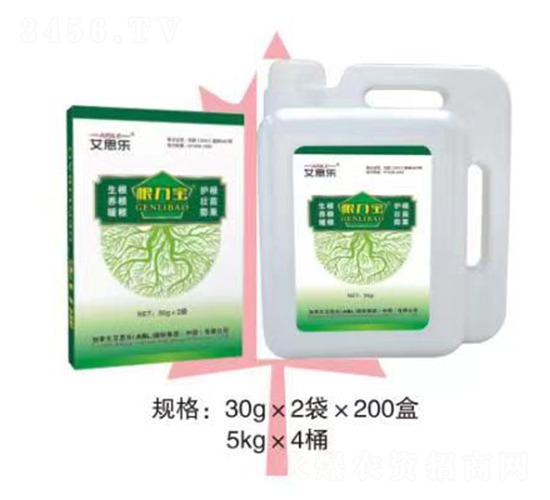 根力寶-艾思樂(lè)