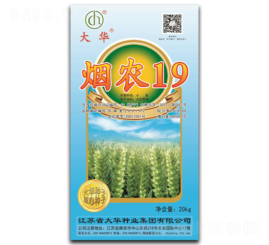 煙農(nóng)19-小麥種子-大華種業(yè)