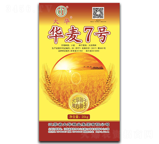 華麥7號(hào)-小麥種子-大華種業(yè)