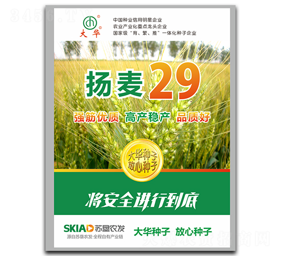 揚(yáng)麥29-小麥種子-大華種業(yè)