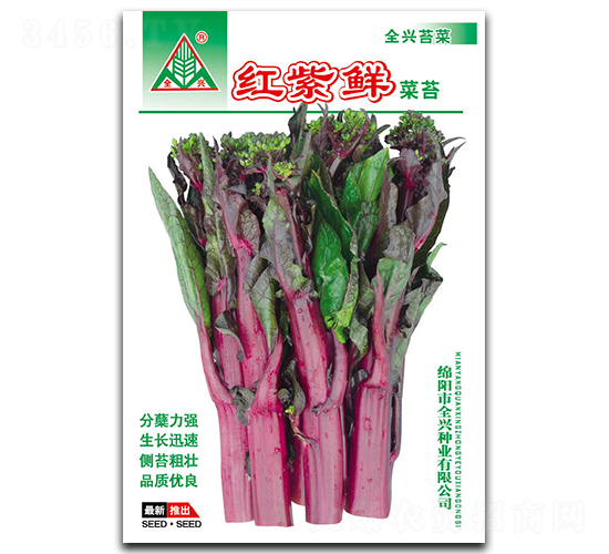 ç´…ç´«é®®-èœè‹”ç¨®å­-å…¨èˆˆç¨®æ¥­(yÃ¨)