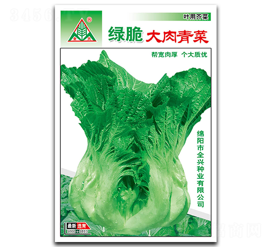 ç¶ è„†å¤§è‚‰é’èœ-é’èœç¨®å­-å…¨èˆˆç¨®æ¥­(yÃ¨)