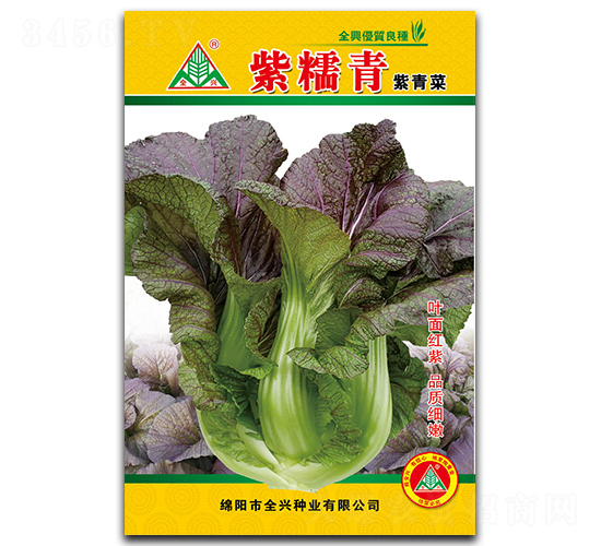 紫糯青-青菜種子-全興種業(yè)