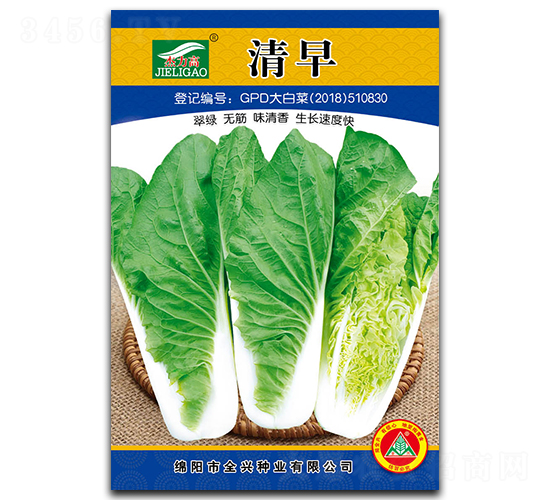 清早-快菜種子-全興種業(yè)