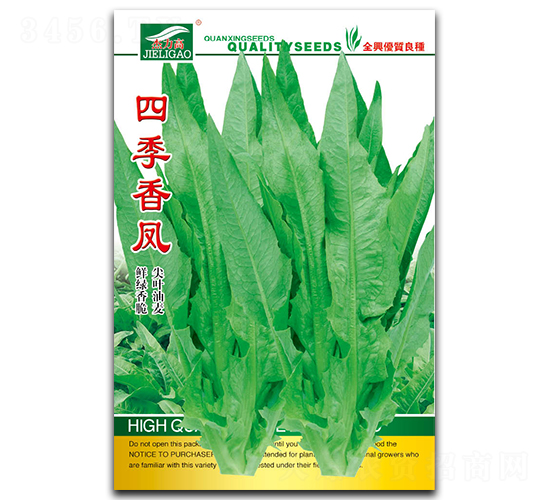 四季香鳳-油麥菜種子-全興種業(yè)