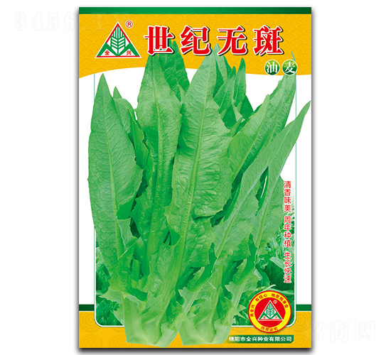 世紀無斑油麥-油麥菜種子-全興種業(yè)