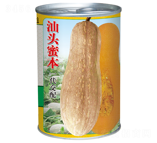 汕頭蜜本-南瓜種子-全興種業(yè)