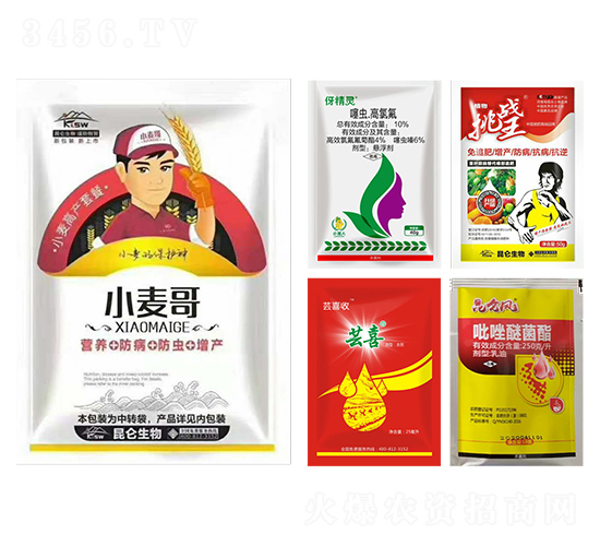 小麥營養(yǎng)增產(chǎn)藥-小麥哥-愛普達(dá)