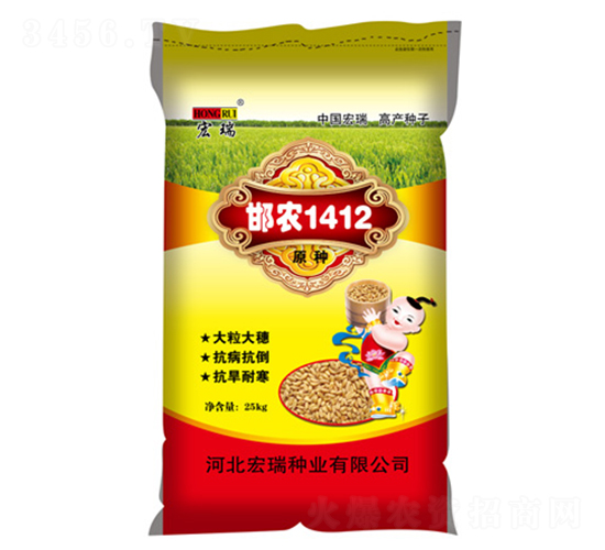 邯農(nóng)1412（25kg）-小麥種子-宏瑞種業(yè)