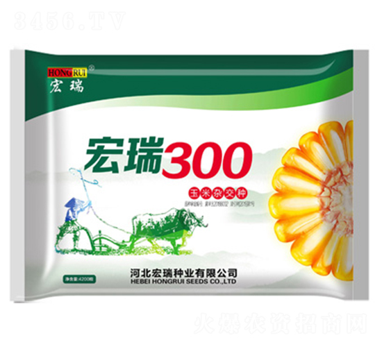 å®ç‘ž300-çŽ‰ç±³ç¨®å­-å®ç‘žç¨®æ¥­(yÃ¨)