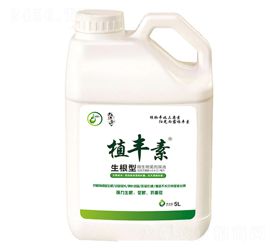 生根型-植豐素-玉美人