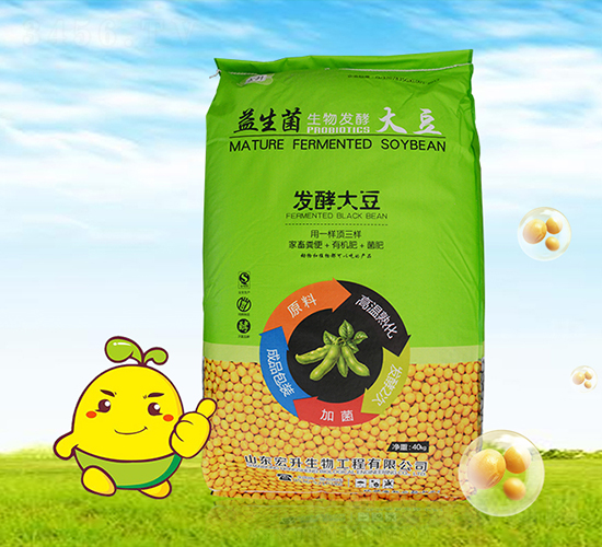發(fā)酵大豆-宏升生物