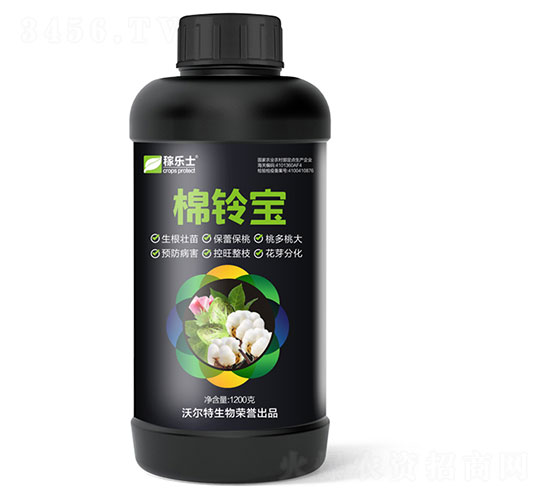 æ£‰éˆ´å¯¶-ç¨¼æ¨‚åœŸ-æ²ƒçˆ¾ç‰¹