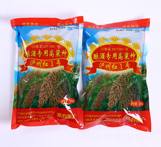 瀘州紅1號-高梁種子-金土地