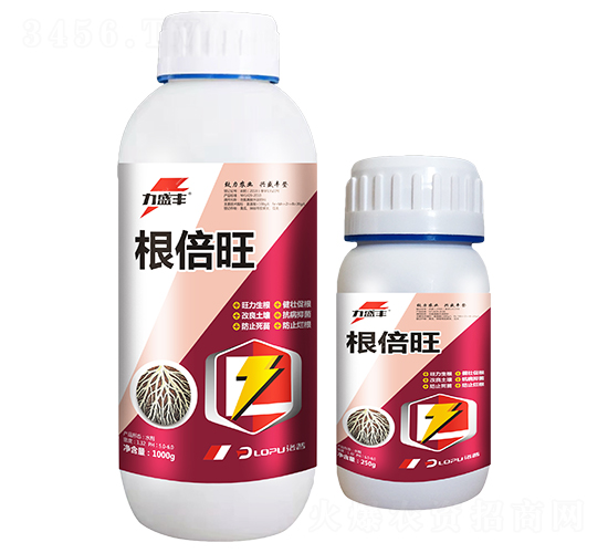 根倍旺-力盛豐-洛普農(nóng)業(yè)