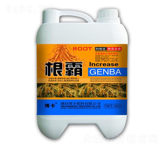 根霸-博卡